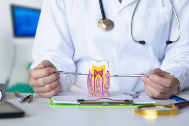 Best Emergency TMJ Treatment in New Miami, OH